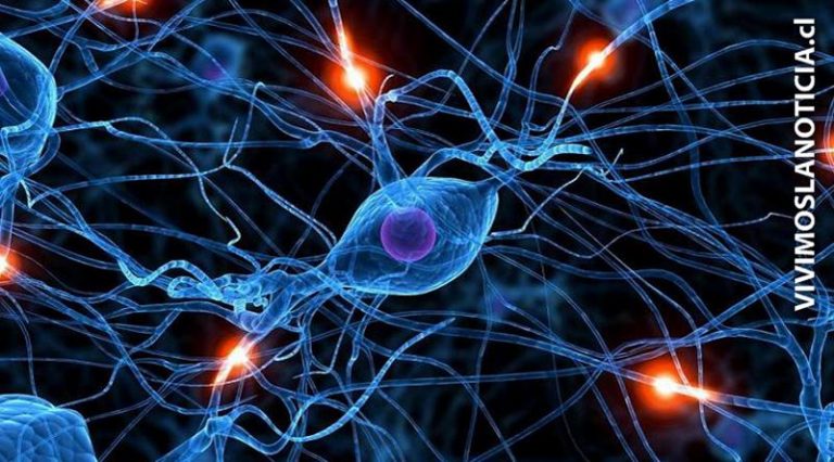 Investigan nuevo tratamiento para enfermedad que padece Stephen Hawking
