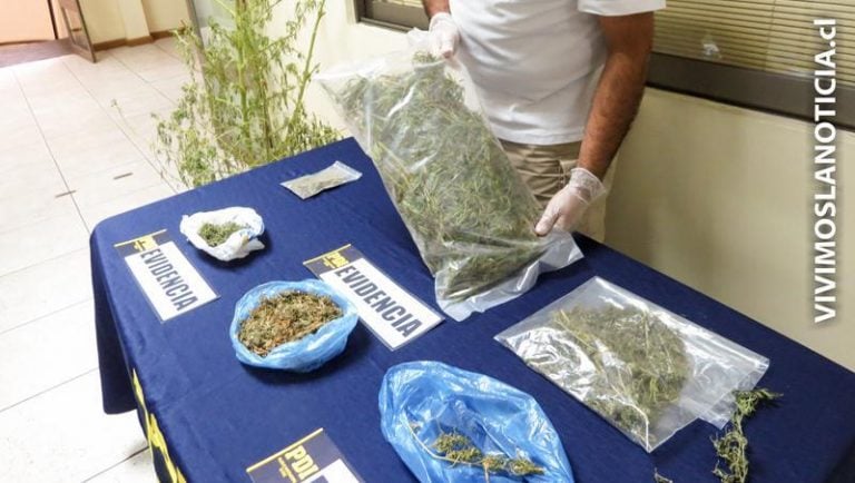 PDI Linares incautó 1 kilo de cannabis en Población Frei