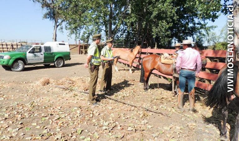 Carabineros previene robo de animales en Los Niches