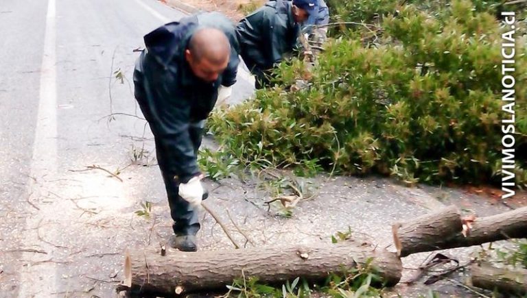 Caminos intransitables en la comuna de Vichuquén