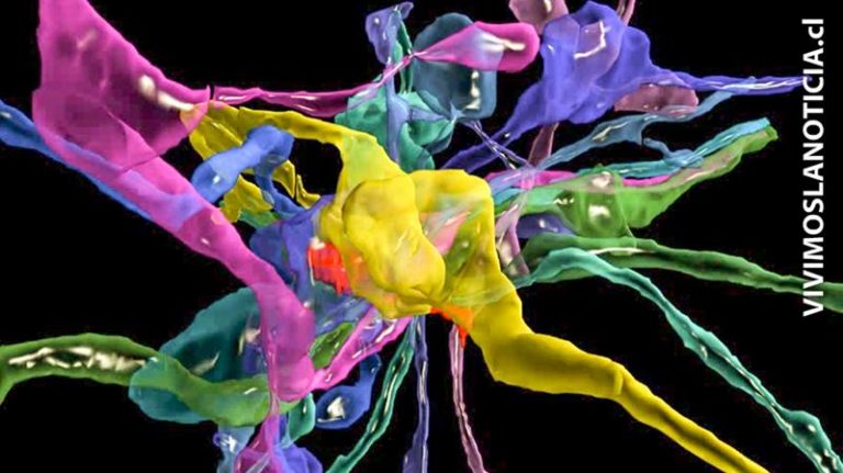 Investigación busca descifrar mapa de enfermedades neurodegenerativas