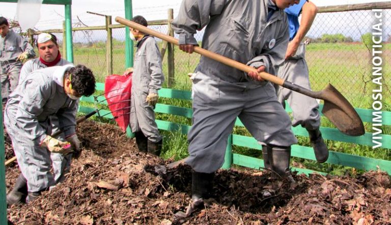 Desarrollan proyecto de reciclaje de residuos orgánicos