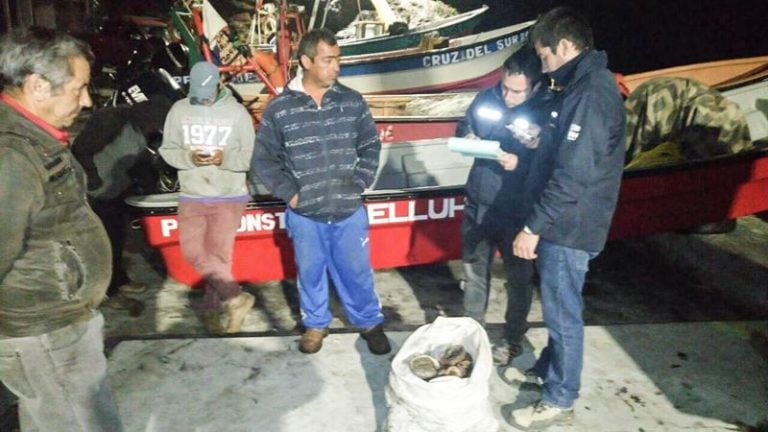Sorprenden a pescadores con carga de locos en plena veda