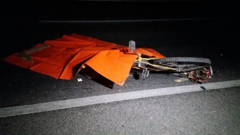 Ciclista murió colisionado por un camión frente a Molina