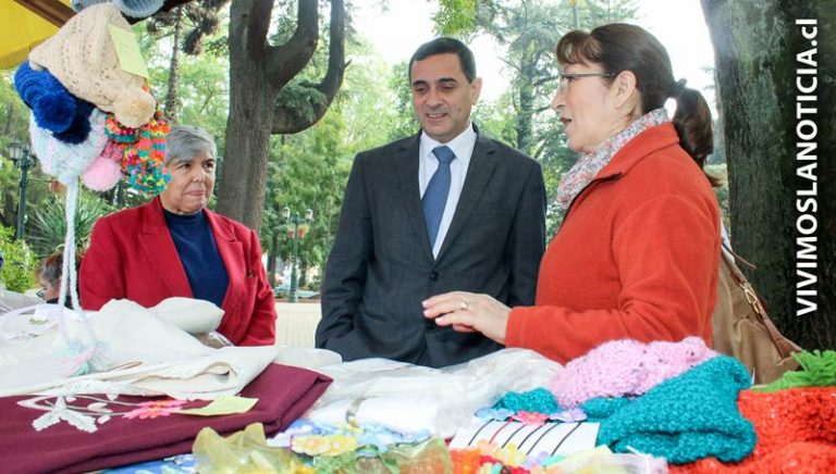 Expo “día de la madre” ya está instalada en Plaza de Armas