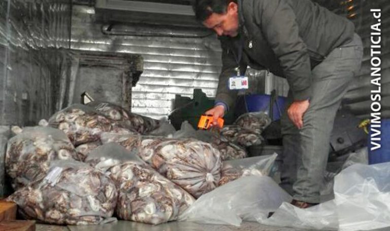 Decomisan una tonelada de moluscos en mal estado