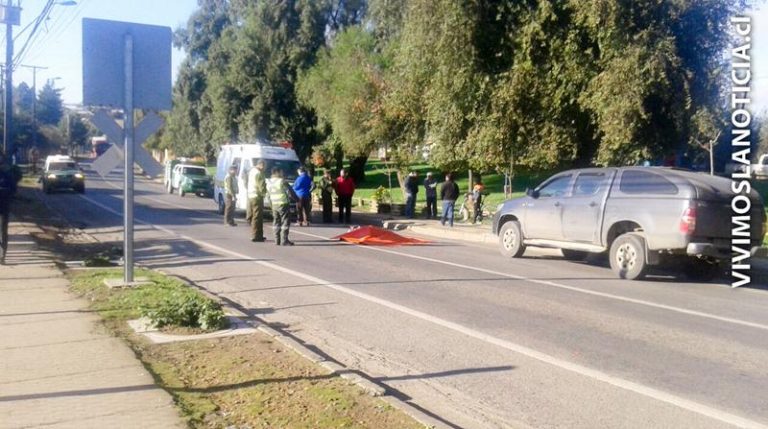 Mujer fallece atropellada en el centro de Hualañé