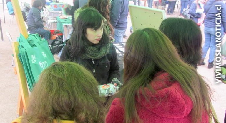 Presentan plan de descontaminación para Talca y Maule