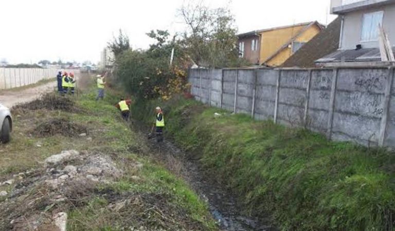 En pleno proceso operativos de limpieza de canales en Curicó
