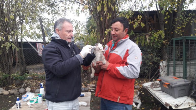 Llevan operativo social a Villa Primavera de Potrero Grande