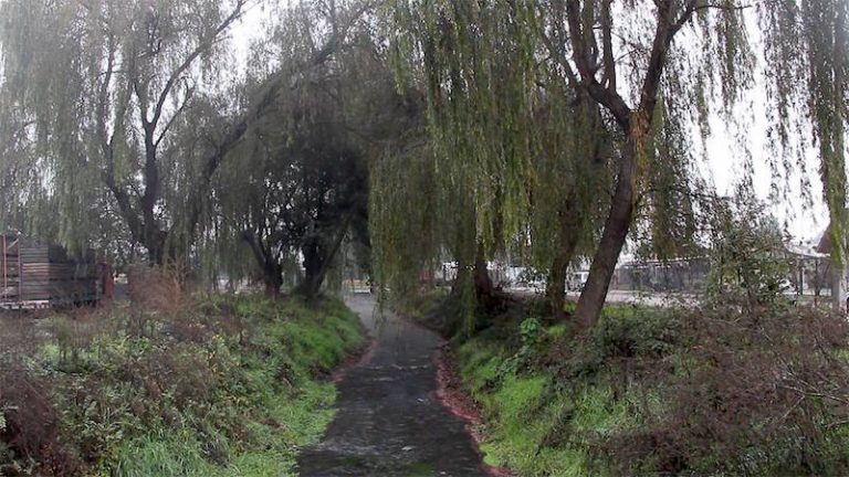 Presentan proyecto de parque familiar en Estero Seco de Lontué