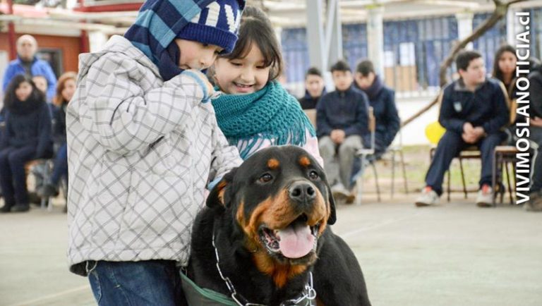 Niños de Escuela "El Progreso" disfrutaron de presentación de perros adiestrados