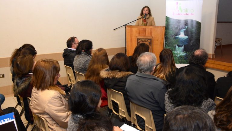 Municipalidad de Molina capacita a sus funcionarios por nueva “Ley de Plantas”