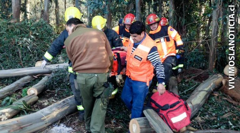 Trabajador se accidentó mientras talaba bosque en Romeral