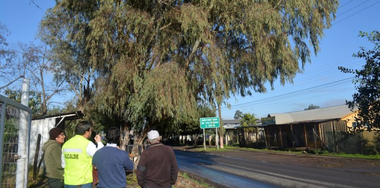 Alcalde Arriagada: "Ante arribo de lluvias se mantiene monitoreo y recorridos en sectores"