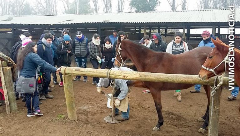 Estudiantes teninos se capacitan en Centro Ecuestre de La Montaña
