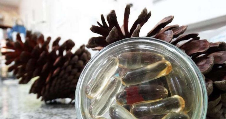 Chilenos descubren aceite que previene obesidad y diabetes