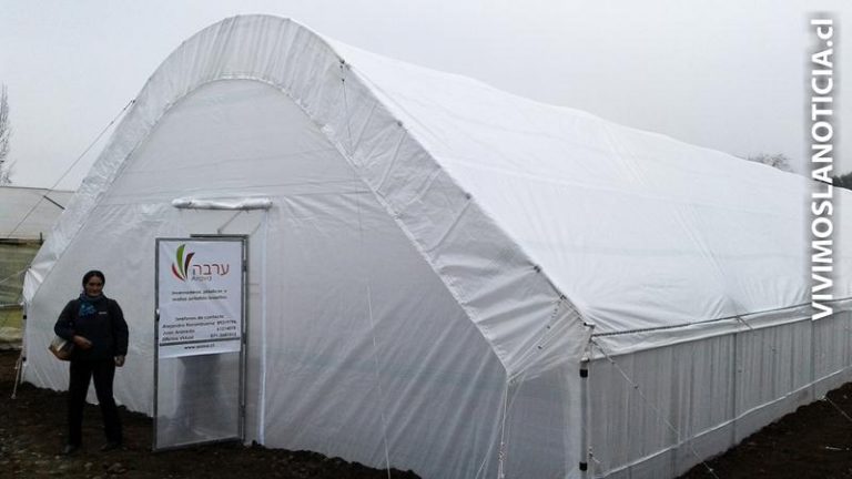 Invernaderos israelitas implementan en Maule
