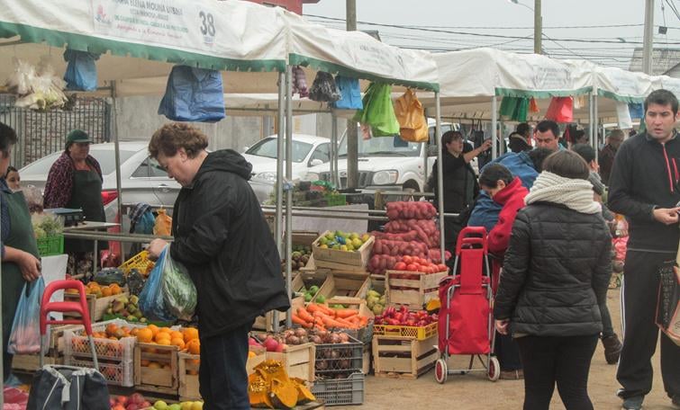 Seis meses cumple "Mercadito Campesino" de Maule