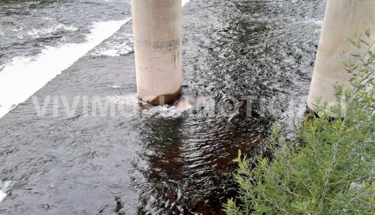 Identifican cadáver que apareció bajo el Puente Río Claro