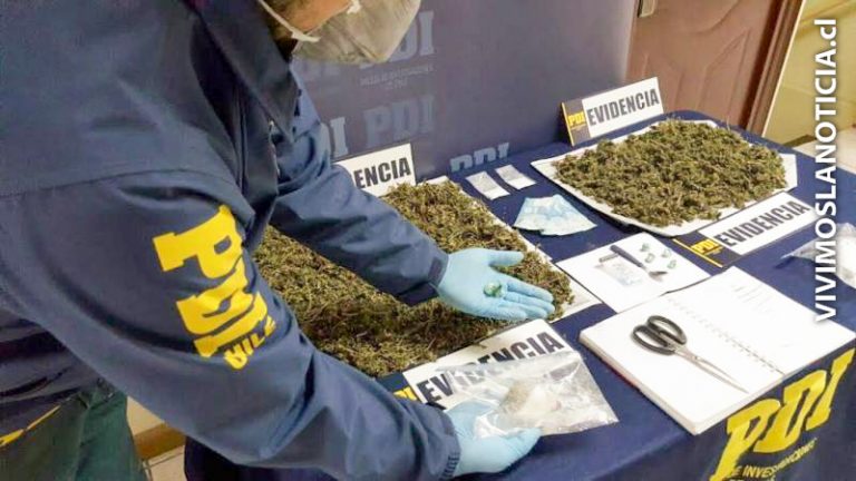 Candidata a concejal por el PC renuncia tras ser detenida