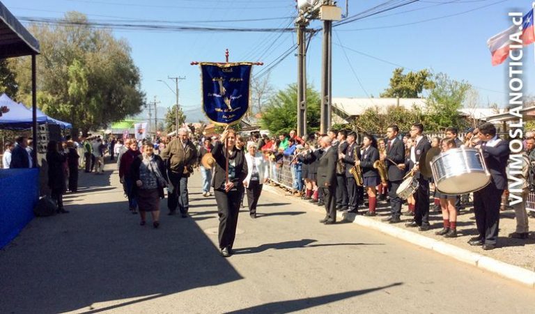 Vecinos de Los Niches vivieron desfile de fiestas patrias