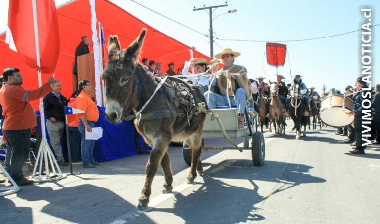 Se realizó desfile de fiestas patrias en Palquibudis de Rauco