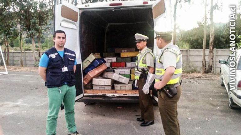 Incautan más de una tonelada de merluza