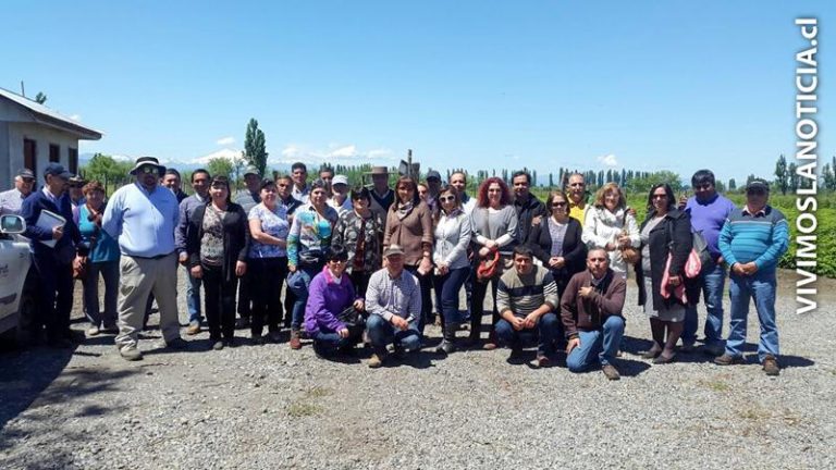 Empresarios conocen experiencia del APL de berries del Maule