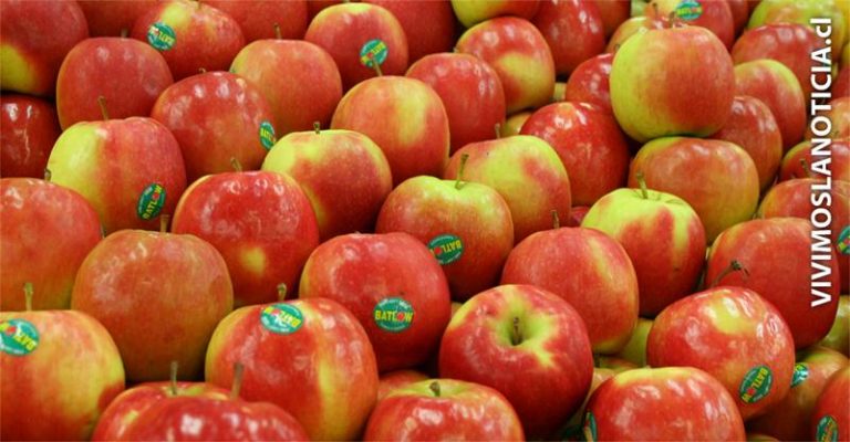 Desarrollan sistema de predicción para enfermedad que afectan a las manzanas