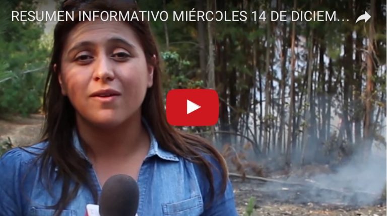 [VIDEO] Incendio forestal obliga a evacuar familias en Vichuquén