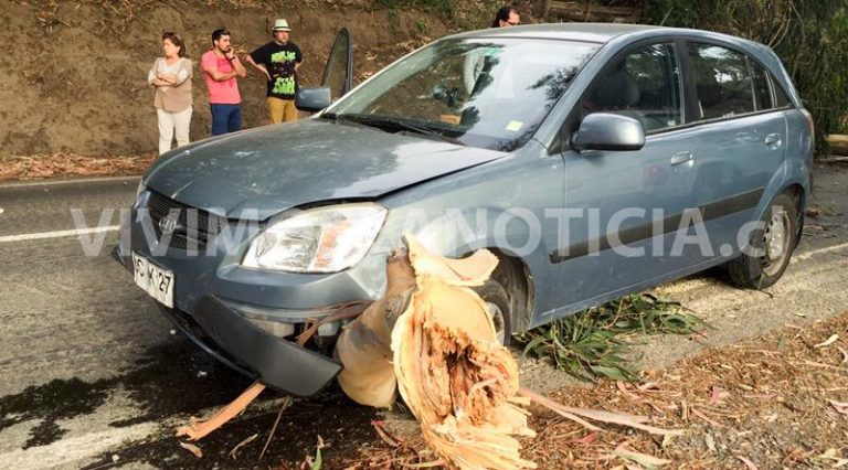 Tronco estuvo a punto de causar tragedia en camino a Iloca
