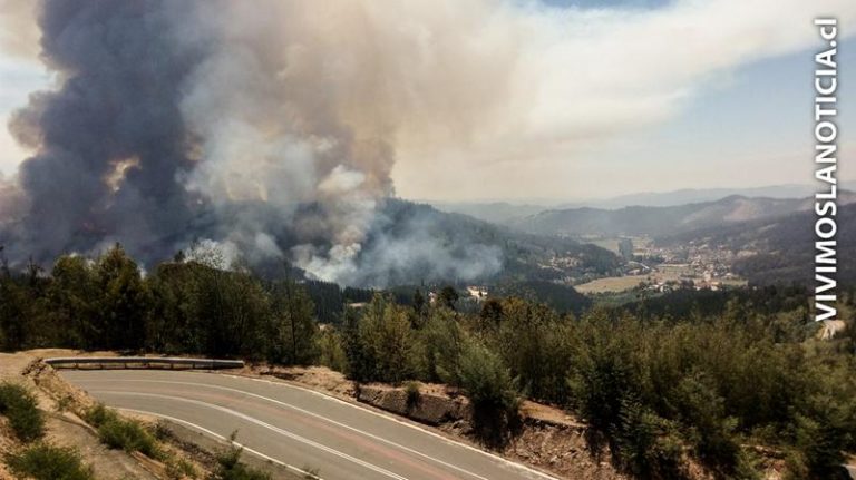 “Alerta Roja” para Curepto y Vichuquén por incendios forestales