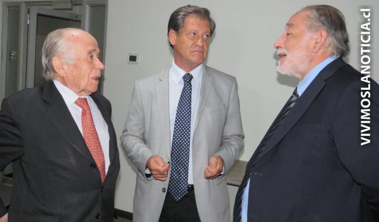 Parlamentarios DC solicitan fortalecer Paso El Pehuenche