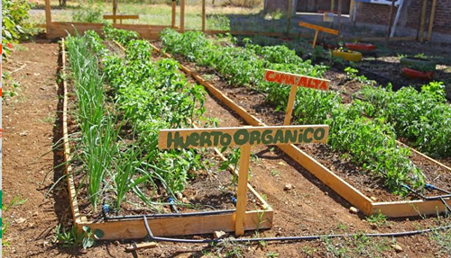 Organizaciones sociales de Colbún ejecutan proyectos medioambientales