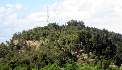 Habilitan acceso peatonal transitorio al Parque Cerro Condell