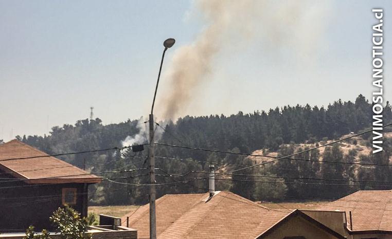Incendio Forestal afectó al Parque Cerro Condell de Curicó