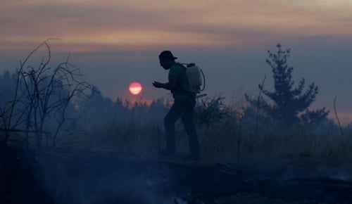 Entregan consejos para protegerse del humo de incendios forestales
