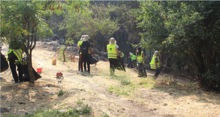 Jóvenes limpiaron Parque Cerro Condell