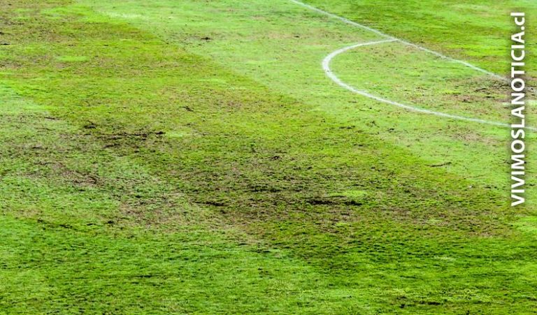 Pasto del Estadio Fiscal luce manchado a días del sudamericano