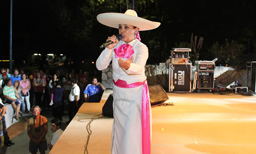 Cientos de personas presenciaron segundo festival ranchero de Curicó