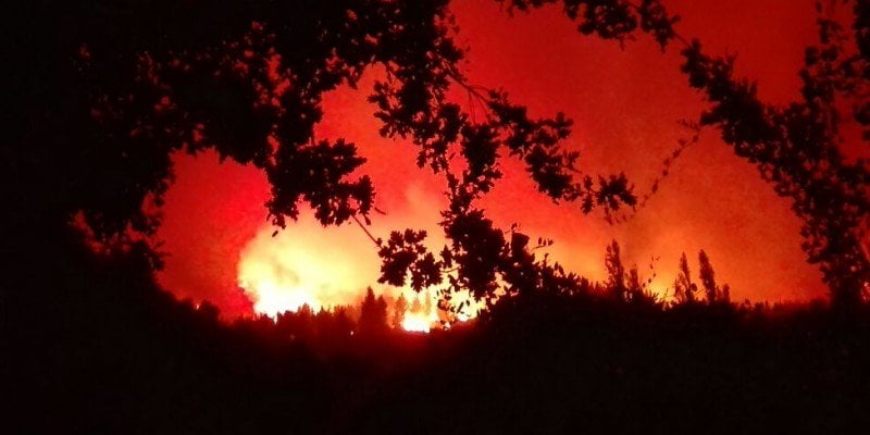 Incendio forestal fuera de control en Parral