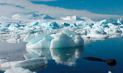 Científicos chilenos aseguran que la Antártida es un regulador del clima