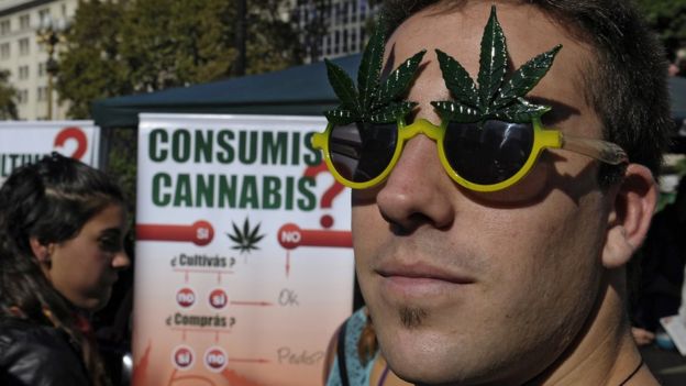 Argentina aprueba el uso medicinal de la marihuana