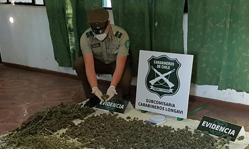 Tres detenidos por porte de marihuana en Longaví