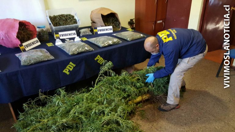 Capturan a sujeto con abundante marihuana y cocaína en Los Niches