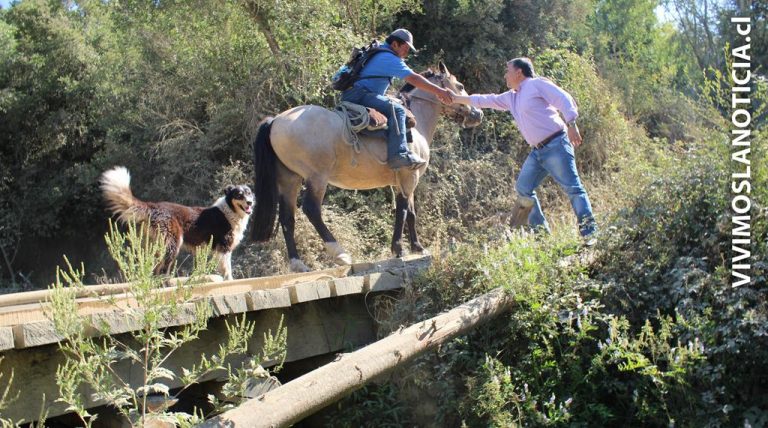 Deplorables condiciones presentan caminos precordilleranos de Linares