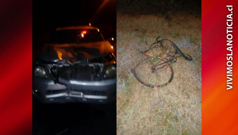 Trabajador muere colisionado en ruta interior de Sarmiento