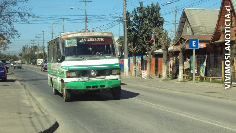 En Linares se inician alertas sanitarias ambientales
