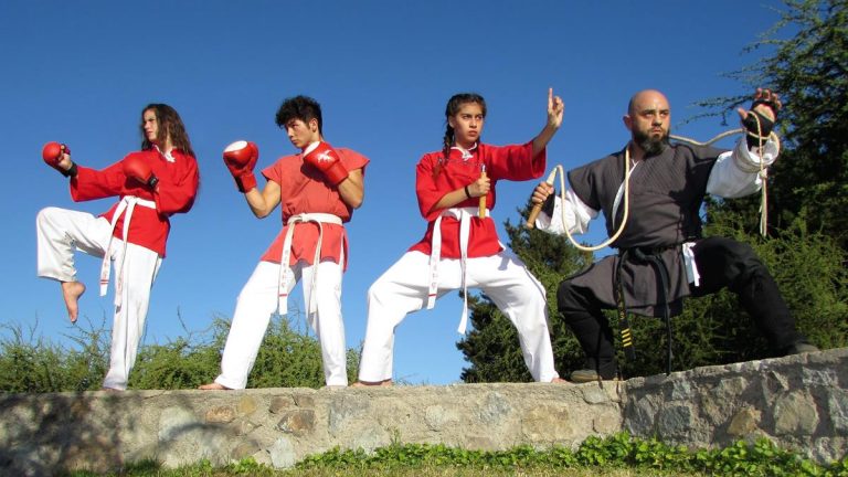 Estudiantes curicanos participarán en torneo de artes marciales en Ecuador
